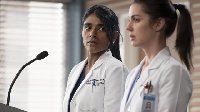 Greys Anatomy
